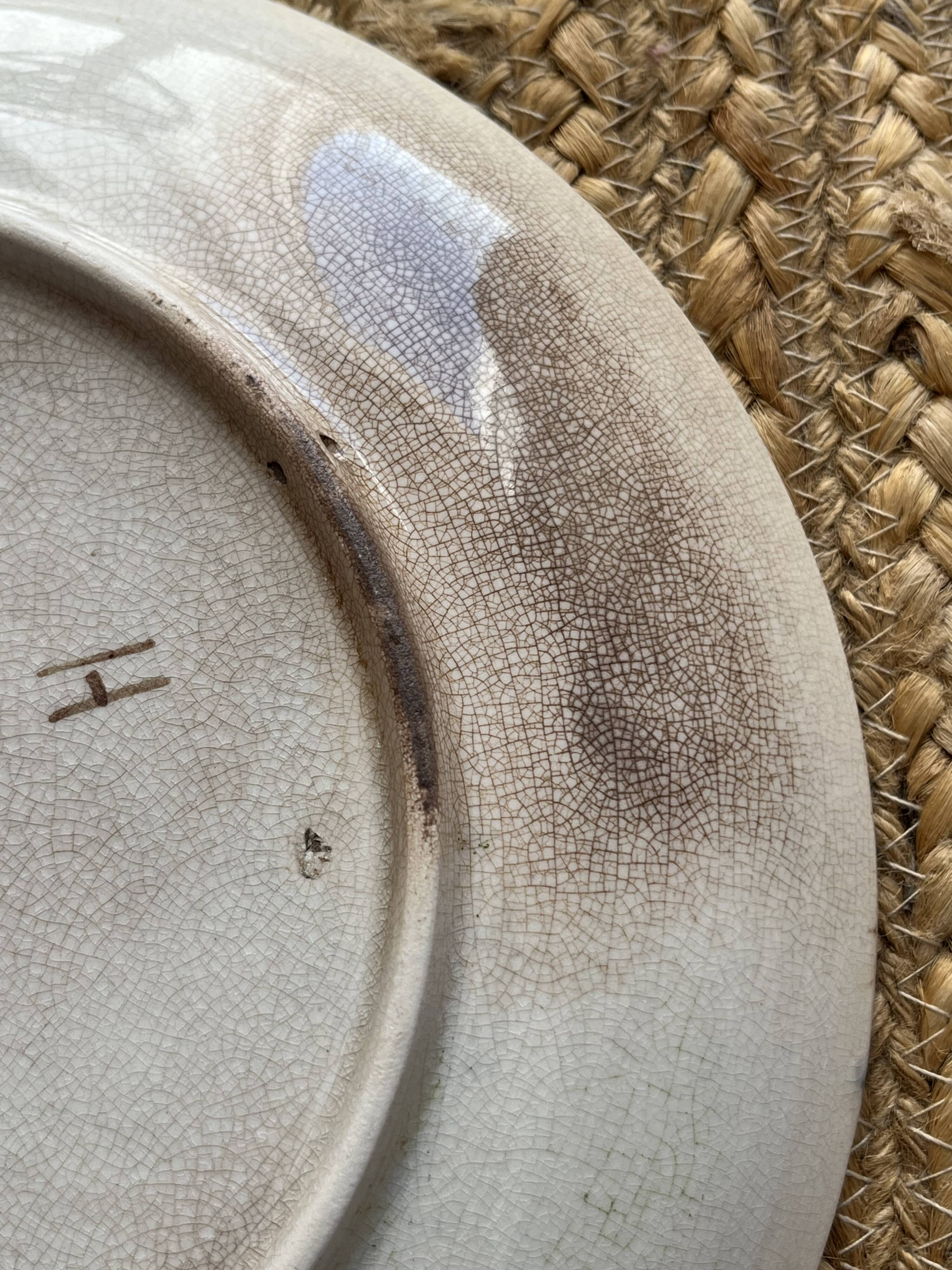 Majolica plate Art Nouveau