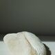 Corail blanc Fungia 24 cm