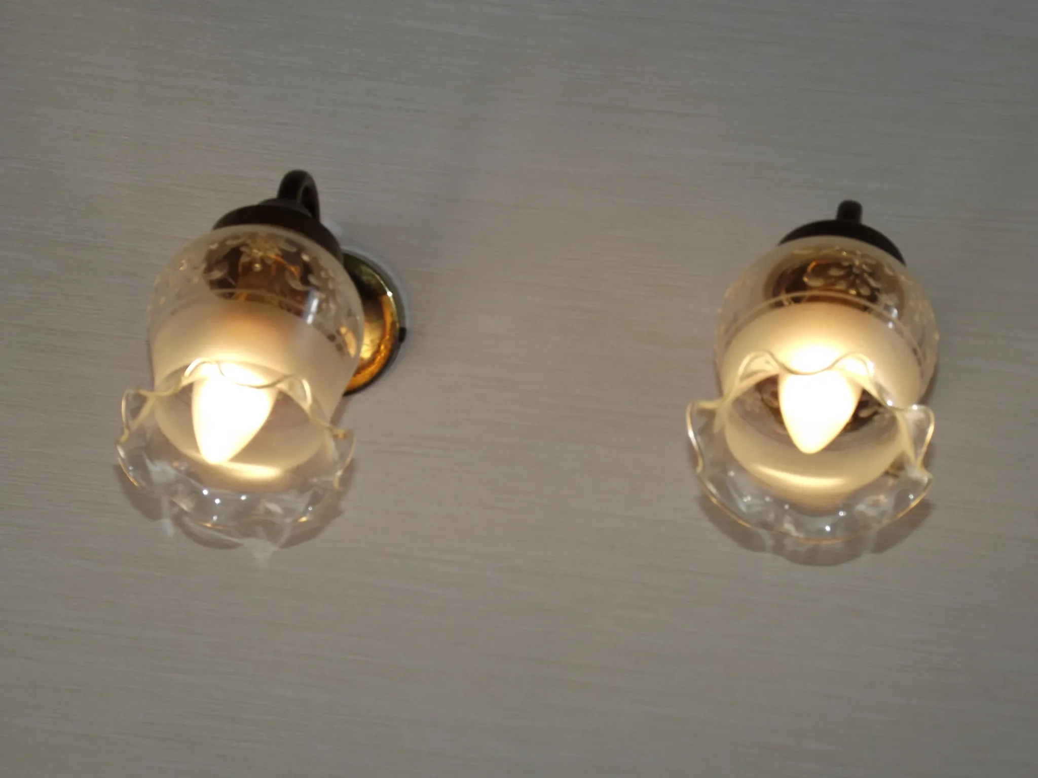 Pair of French Vintage Bronze Effect Metal Wall LIghts Floral Glass Shades
