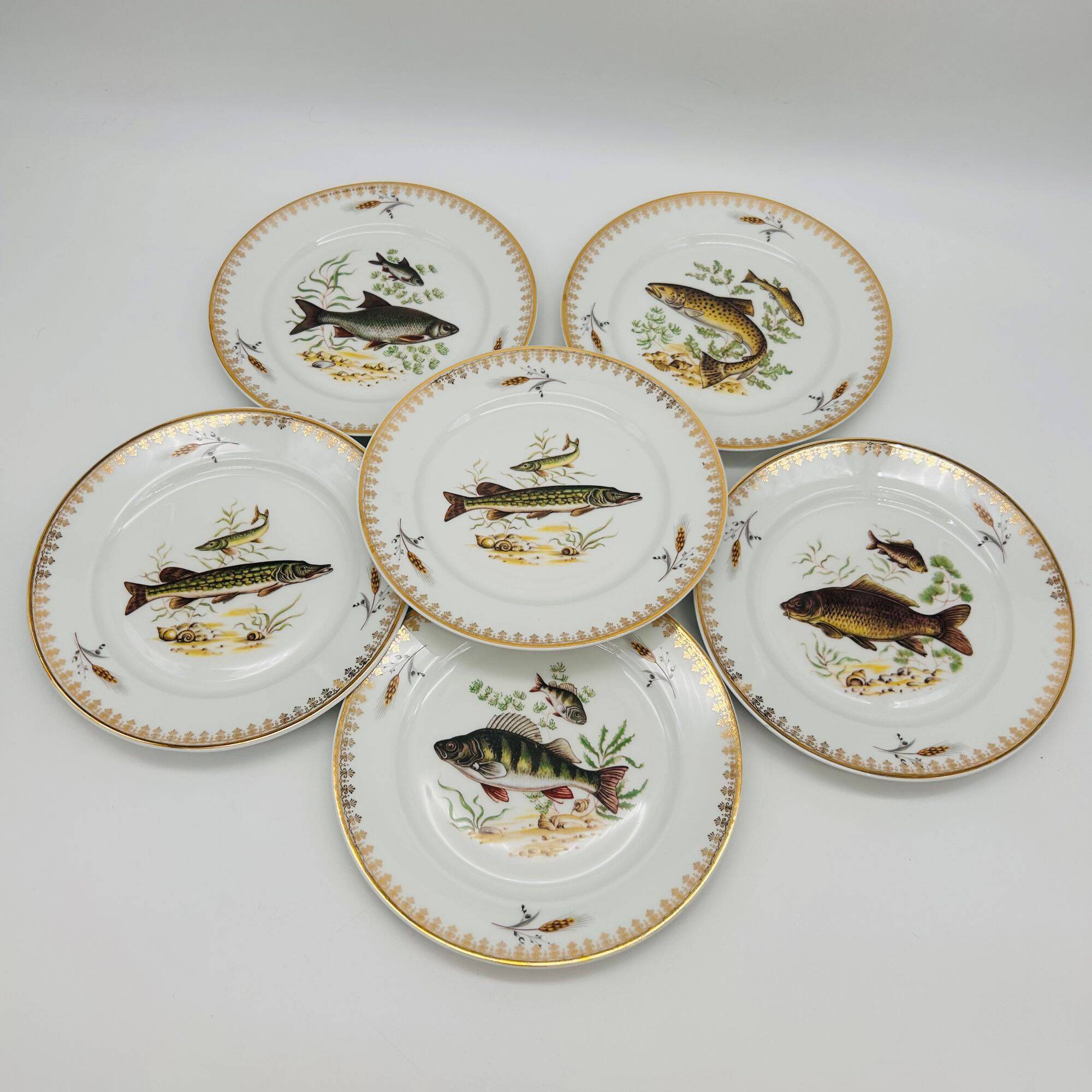 6 Limoges porcelain plates, fish pattern.