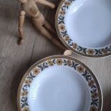 Set of 6 plates Mitteteich Bavaria gold flowers