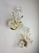 Pair of hibiscus floral sconces, frosted Murano glass, Italy, 1970s