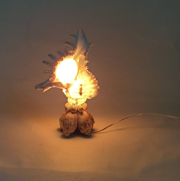 Lampe coquillage Souvenir Mid-Century, France 1960s