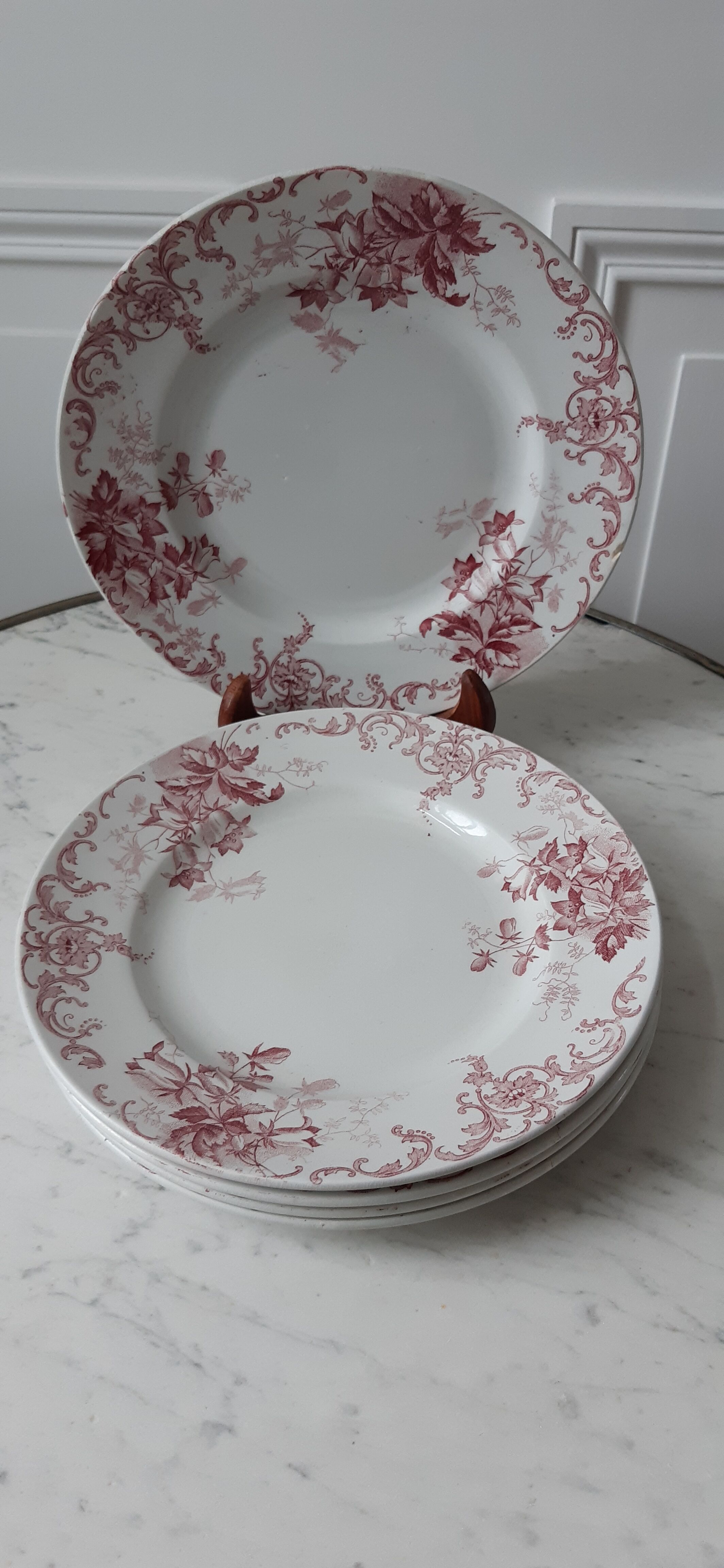 Set of 5 flat plates Terre de Fer St Amand model "Campanule" mid XIXth