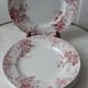 Set of 5 flat plates Terre de Fer St Amand model "Campanule" mid XIXth