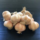 Bunch of garlic in slip