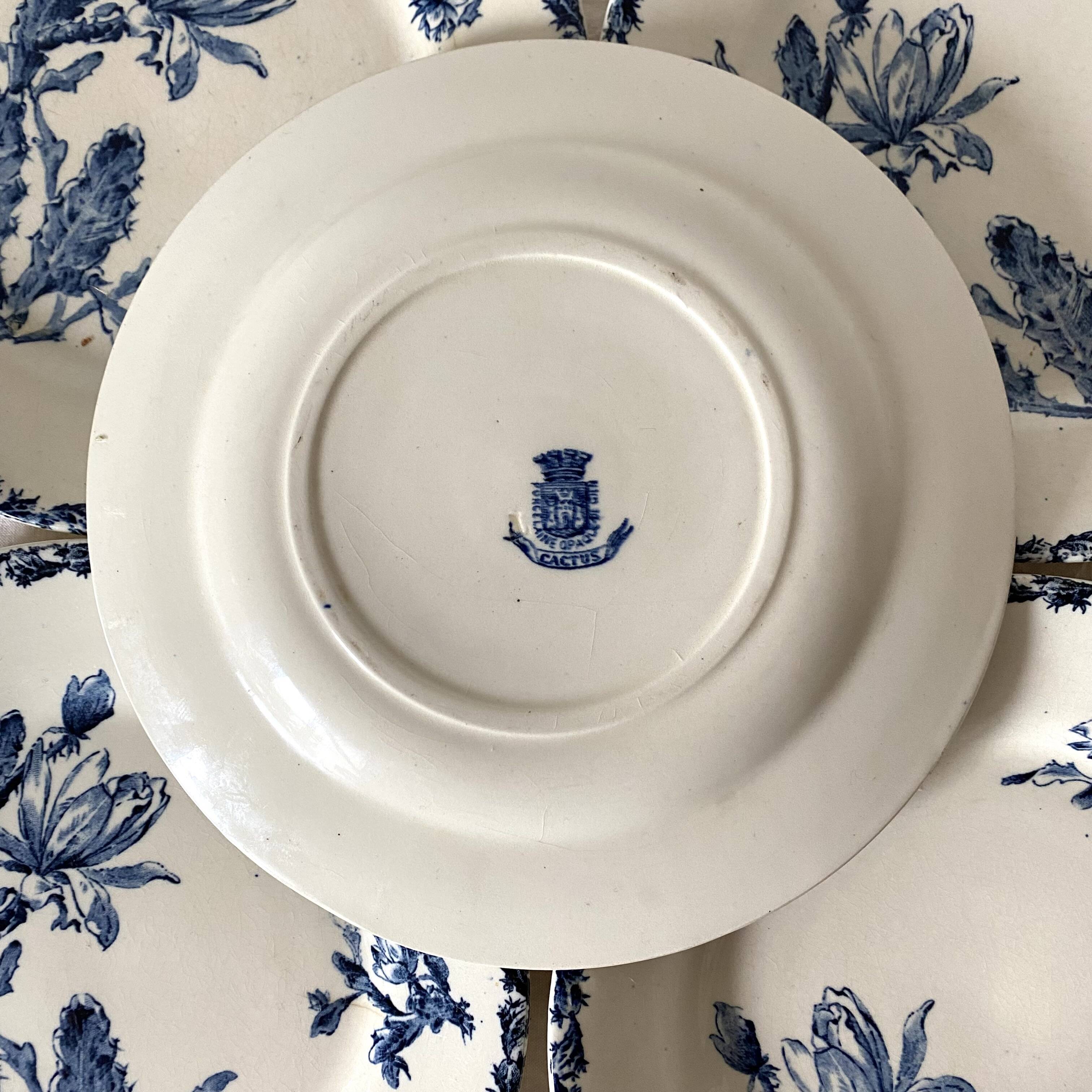 Gien porcelain plates - Cactus