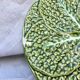 Cabbage leaf plate