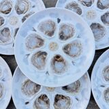 6 St Amand oyster/shellfish slushie plates, 1950s