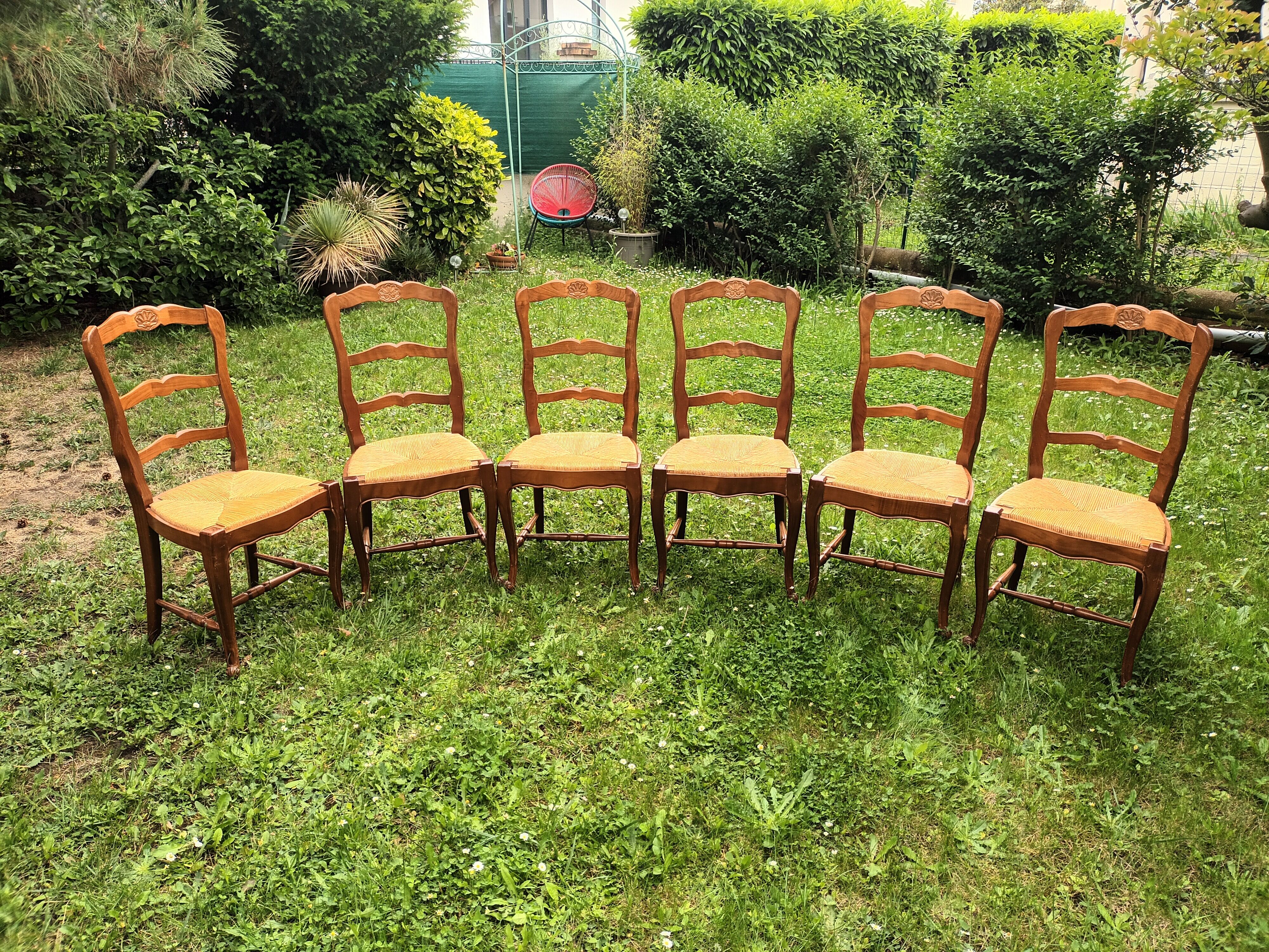 6 cherry wood chairs in Louis XV style
