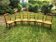 6 cherry wood chairs in Louis XV style