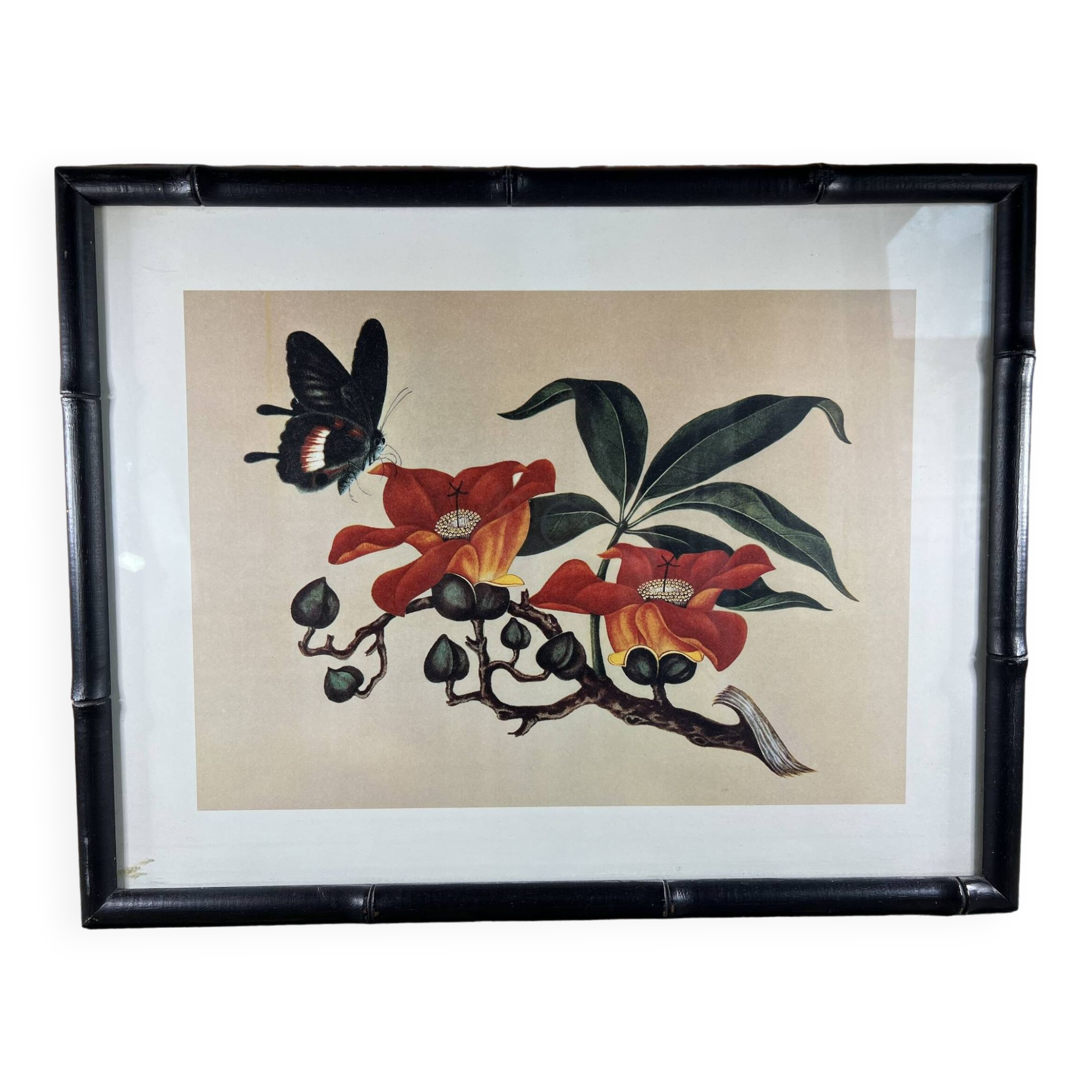 Framed flower and butterfly poster