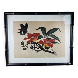 Framed flower and butterfly poster