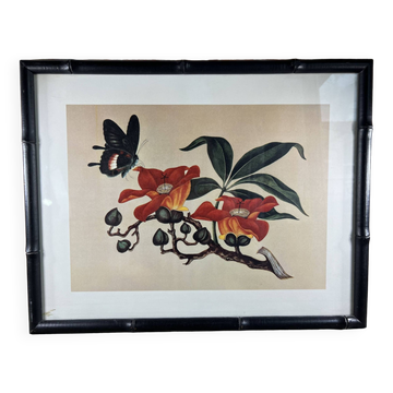 Framed flower and butterfly poster