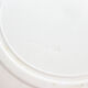 Grand plat creux « Iris «  Terre de fer Saladier