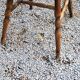 Set de 6 chaises de bistrot Baumann vintage des années 60