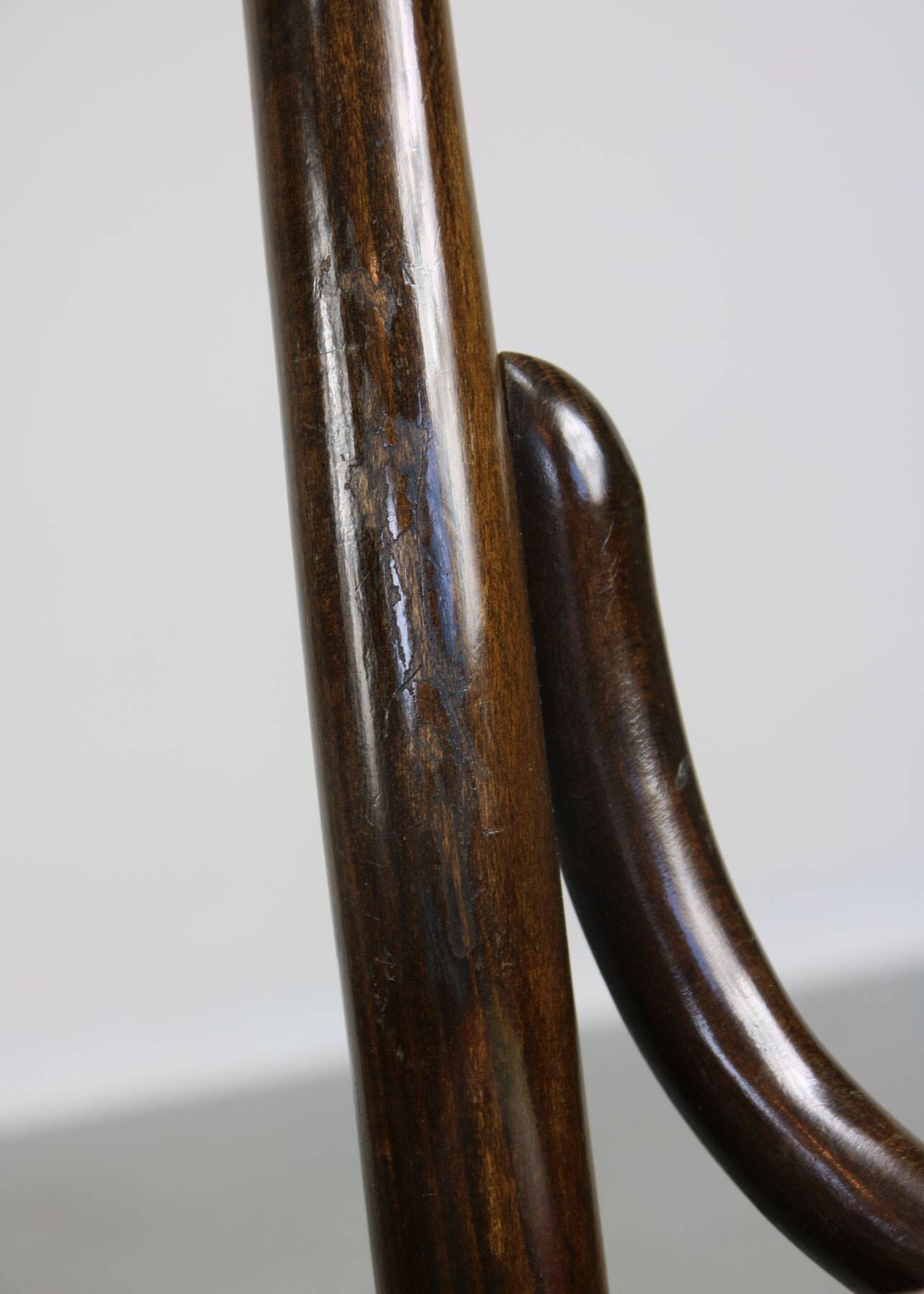 Vintage Velvet No. 18 Dining Chairs by Michael Thonet, Set of 4