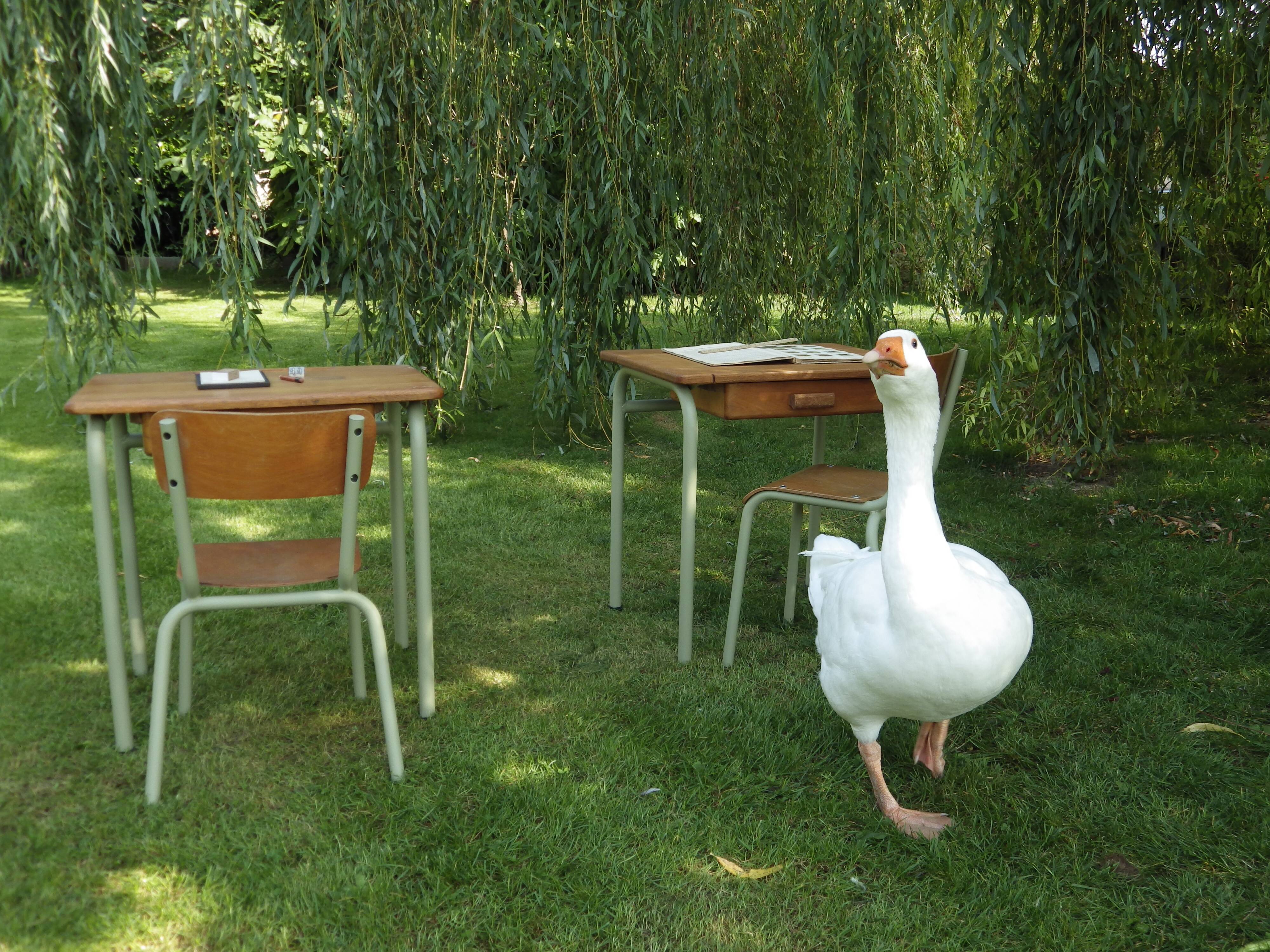 Children's desk and chair 1960 -1