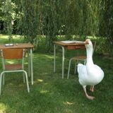 Children's desk and chair 1960 -1