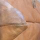Togo pouffe by Michel Ducaroy for Ligne Roset natural leather