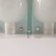 Paire de lampes Italiennes Guzzini Sirio