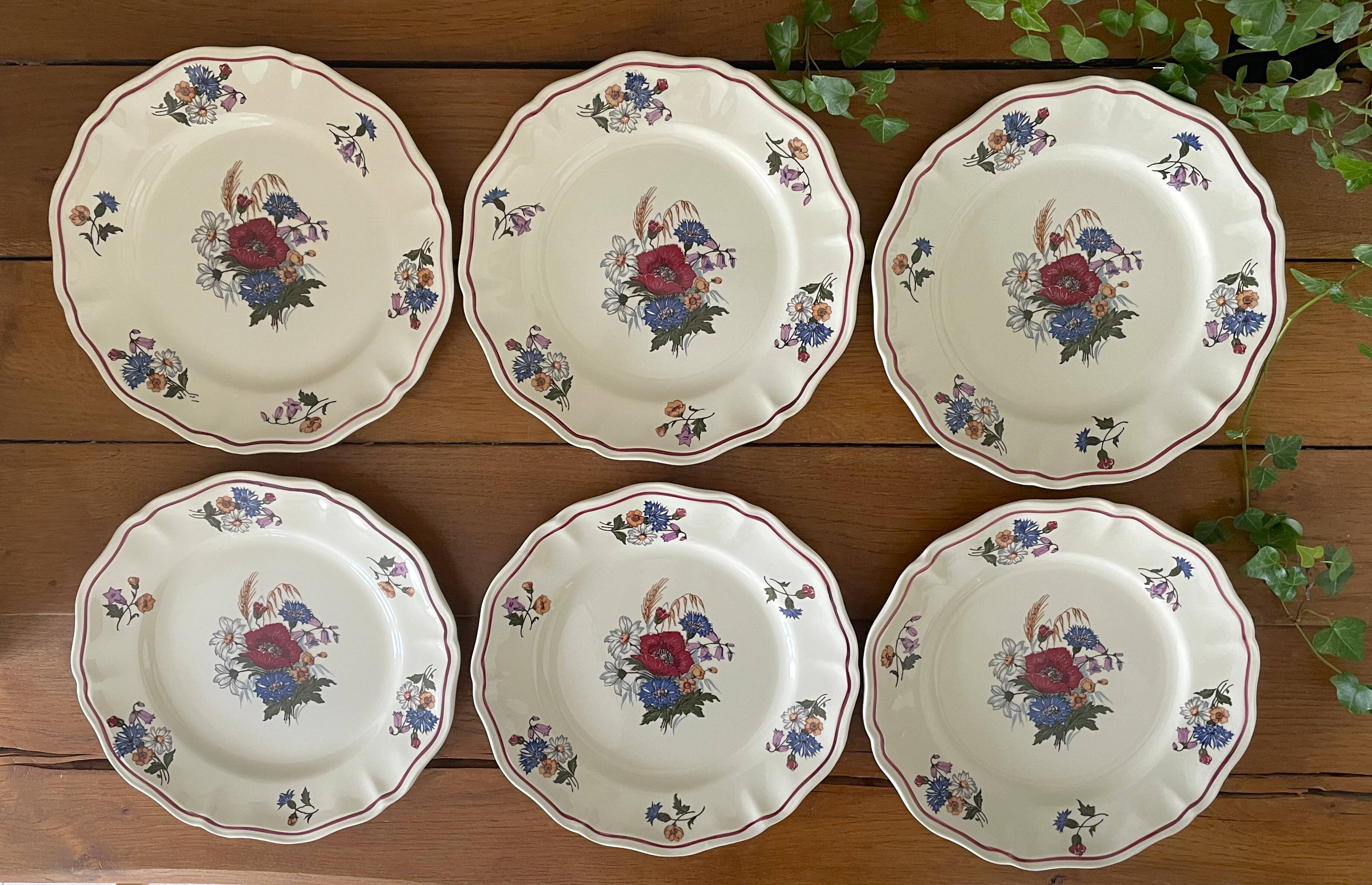 6 large flat antique plates in Sarreguemines earthenware