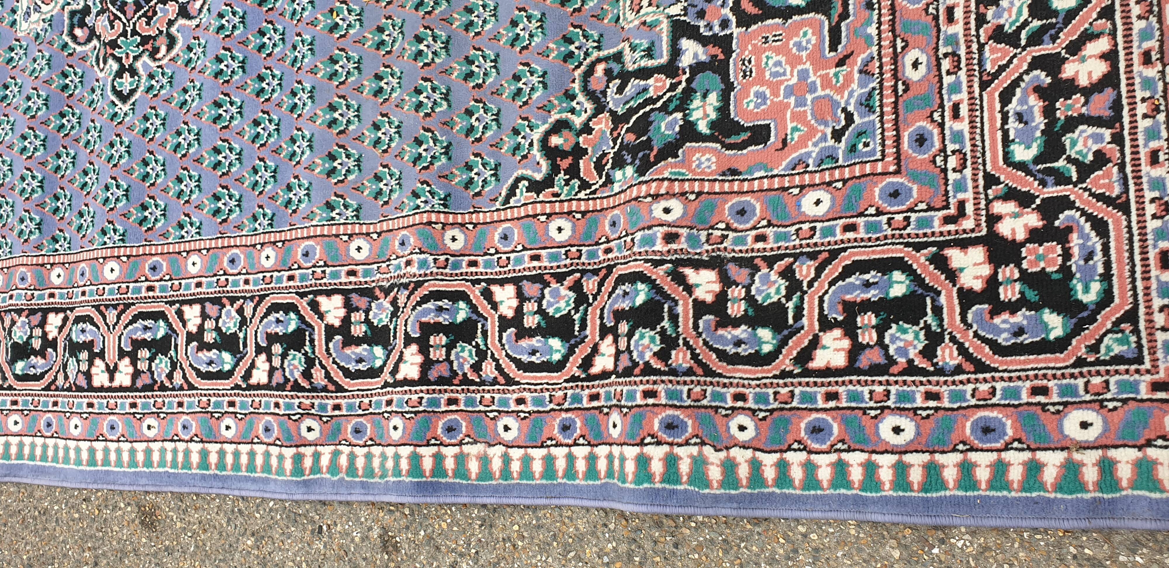 Oriental carpet wool