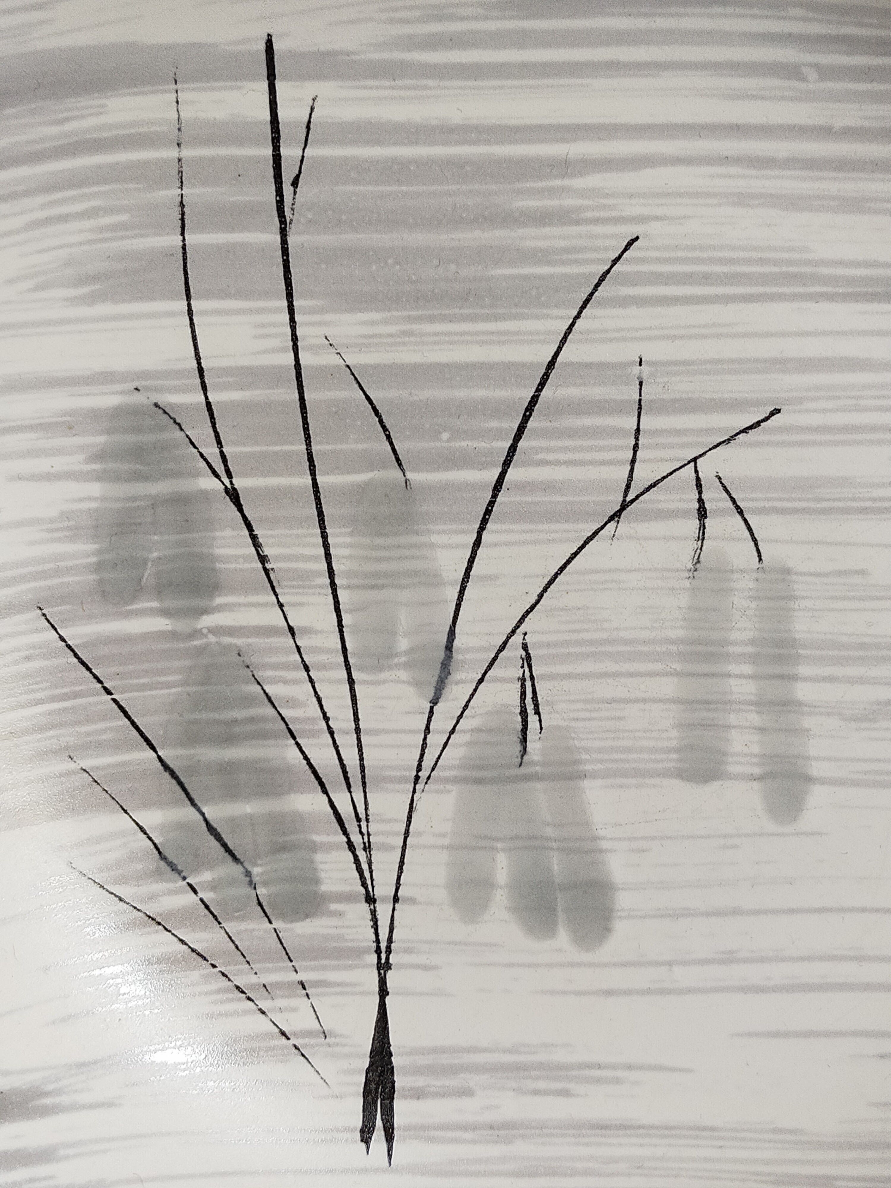 Six assiettes céramique Niderviller service "Chatons" années 50.