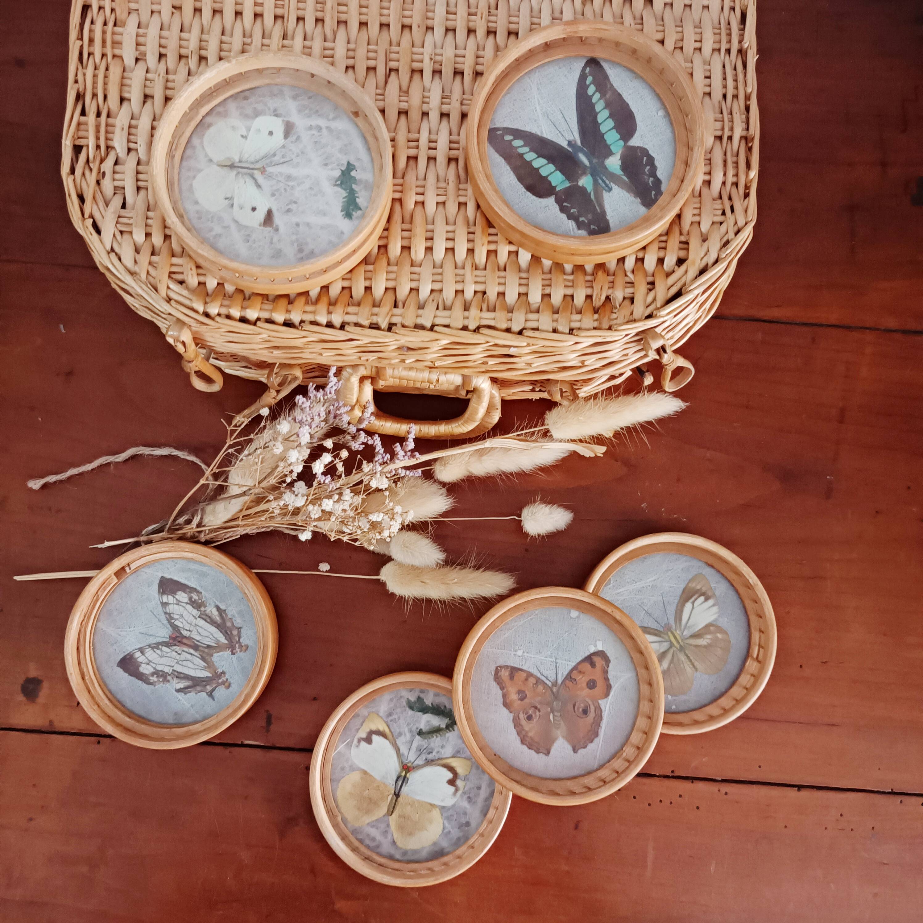 Set of 6 butterfly coasters
