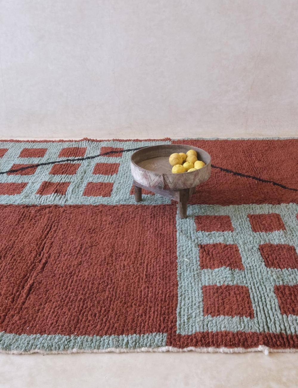 Modern Brick Red Rug - 296 x 212 cm