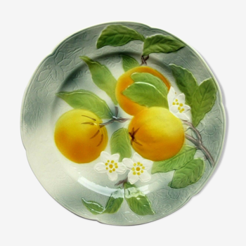 Saint Clément's dabbling plate: the Oranges