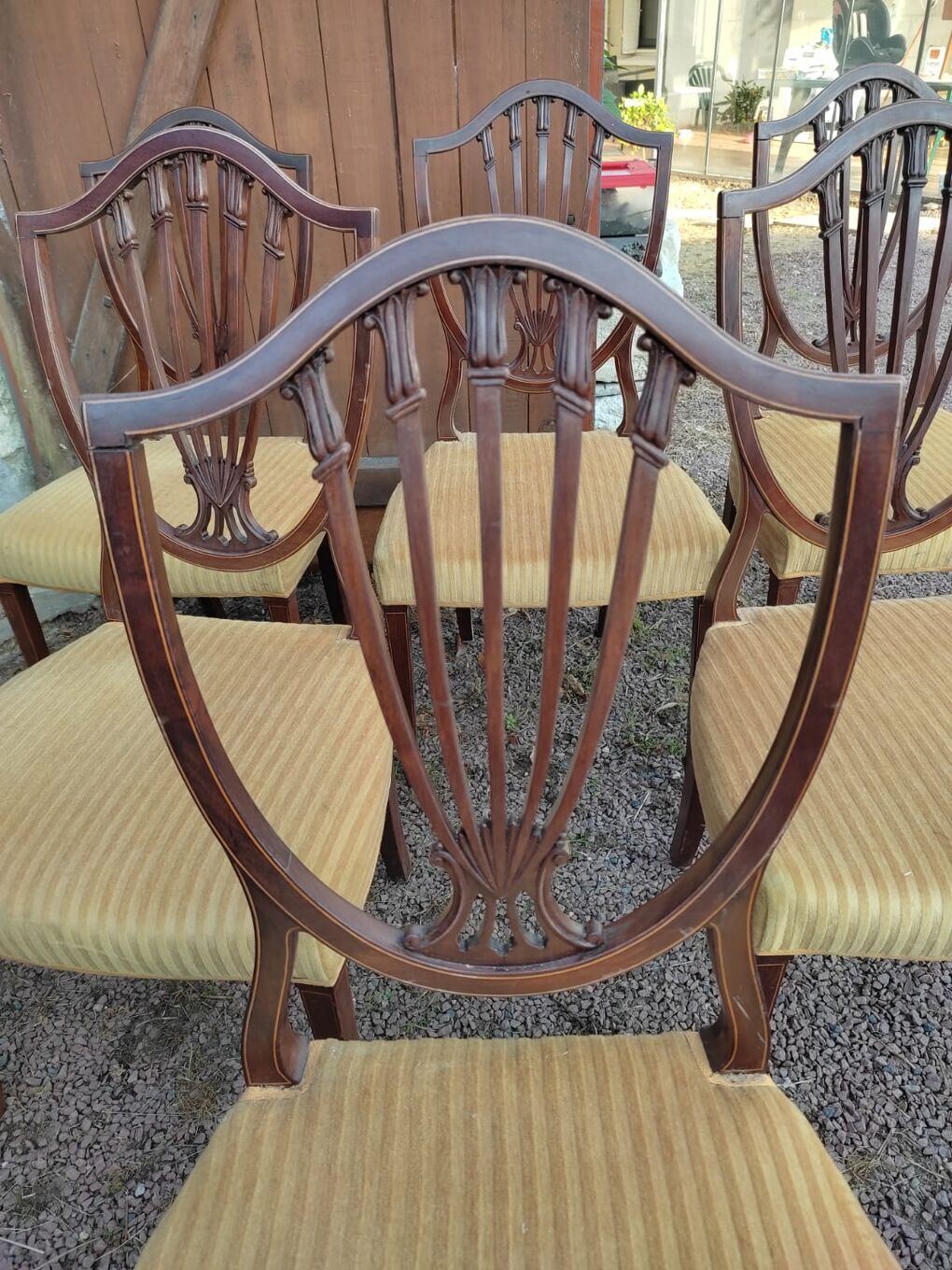 Rare, Victorian chairs nineteenth century. Vintage English hepplewhite chairs