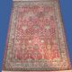 Carpet from Punjab in wool, 248x173cm