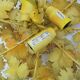Vintage maison art et floritude ceiling light. autumn leaf