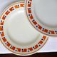 4 flat plates in iron earth of the Salins model Lucette 210831