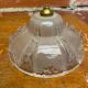 Antique Pendant Light Globe Molded Glass Art Deco Frosted Vintage