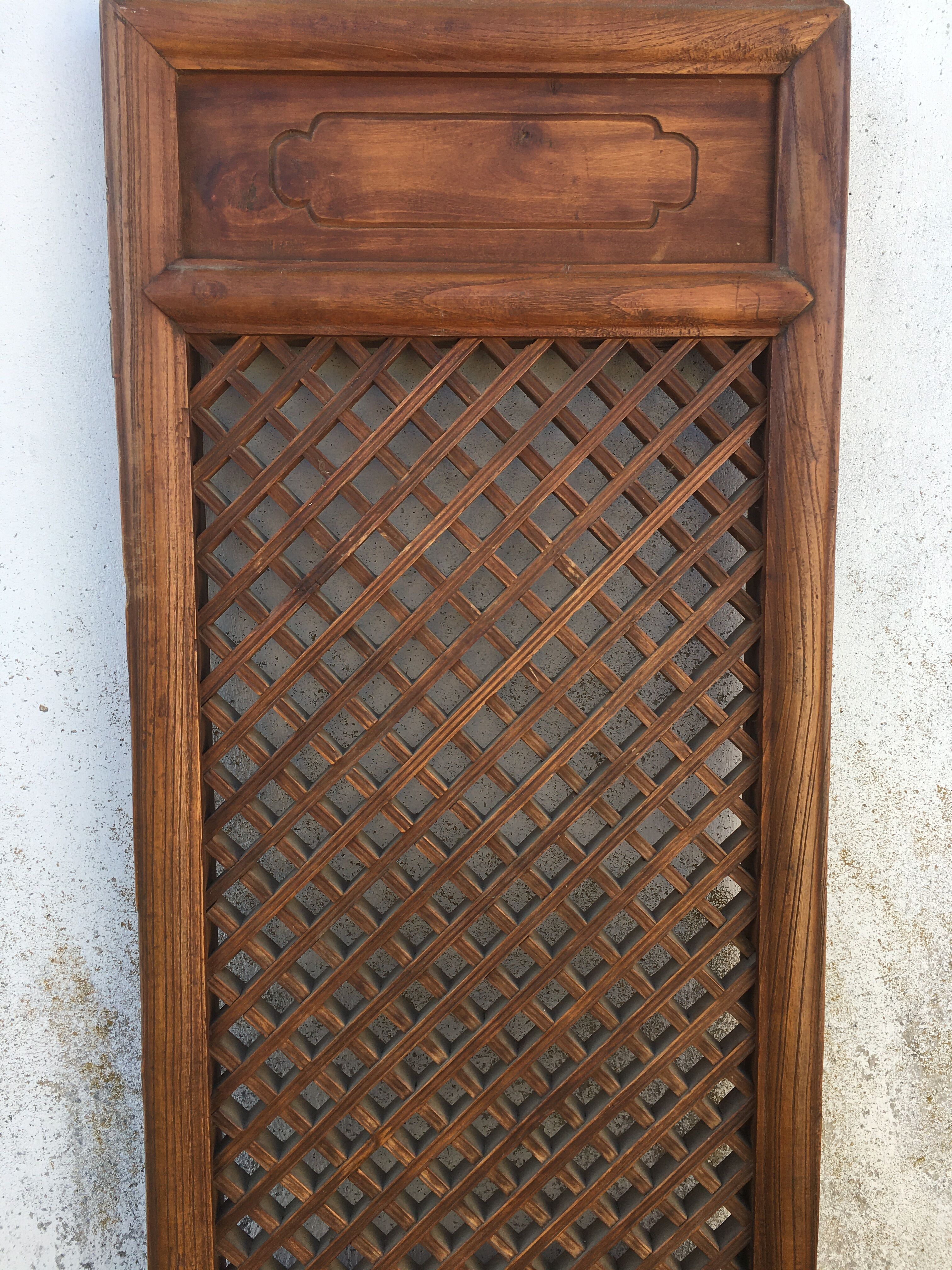 Indian teak door