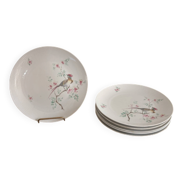 ⁠Lot 6 Assiettes Plates Porcelaine Seltmann Weiden Bavaria  Oiseaux Faisan