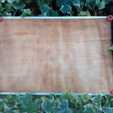 Art Deco period mirror tray