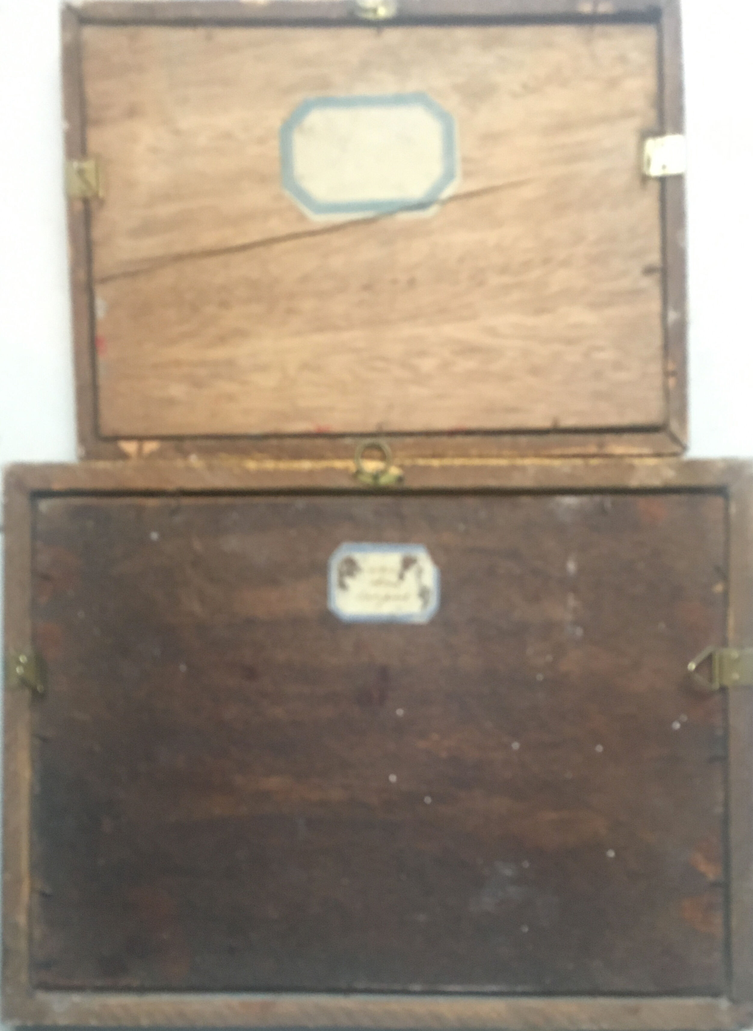 Paintings "roses of the alps" by Astrid Walford (1907-1984)