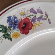 Sarreguemines 2 plats modèle agreste