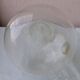 Bubble glass carafe
