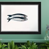 “2 sardines” by Joseph Rethlin