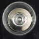 Set of 10 white wine glasses in Baccarat crystal model Saint Rémy