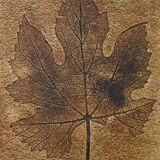 Coffee table signed R. Capron, Les Herbiers Collection, Vallauris – 1960