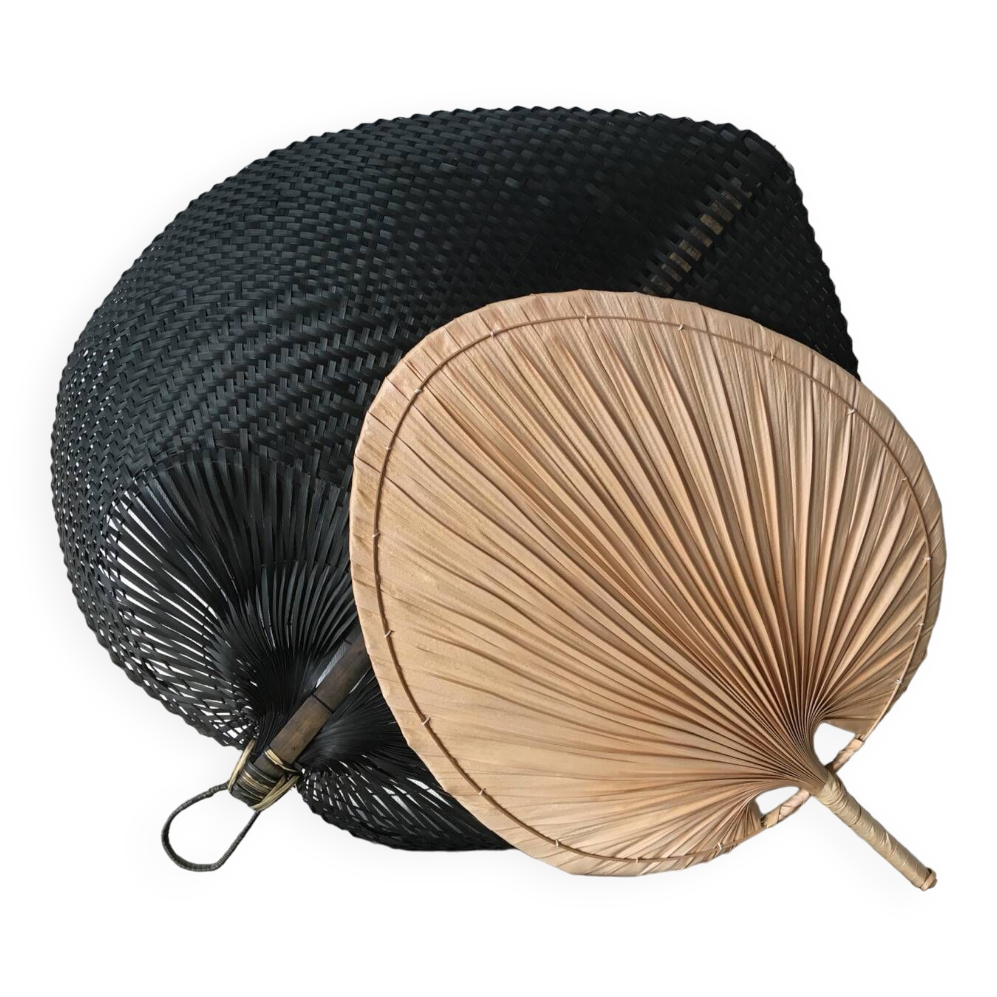 Éventails décoratifs