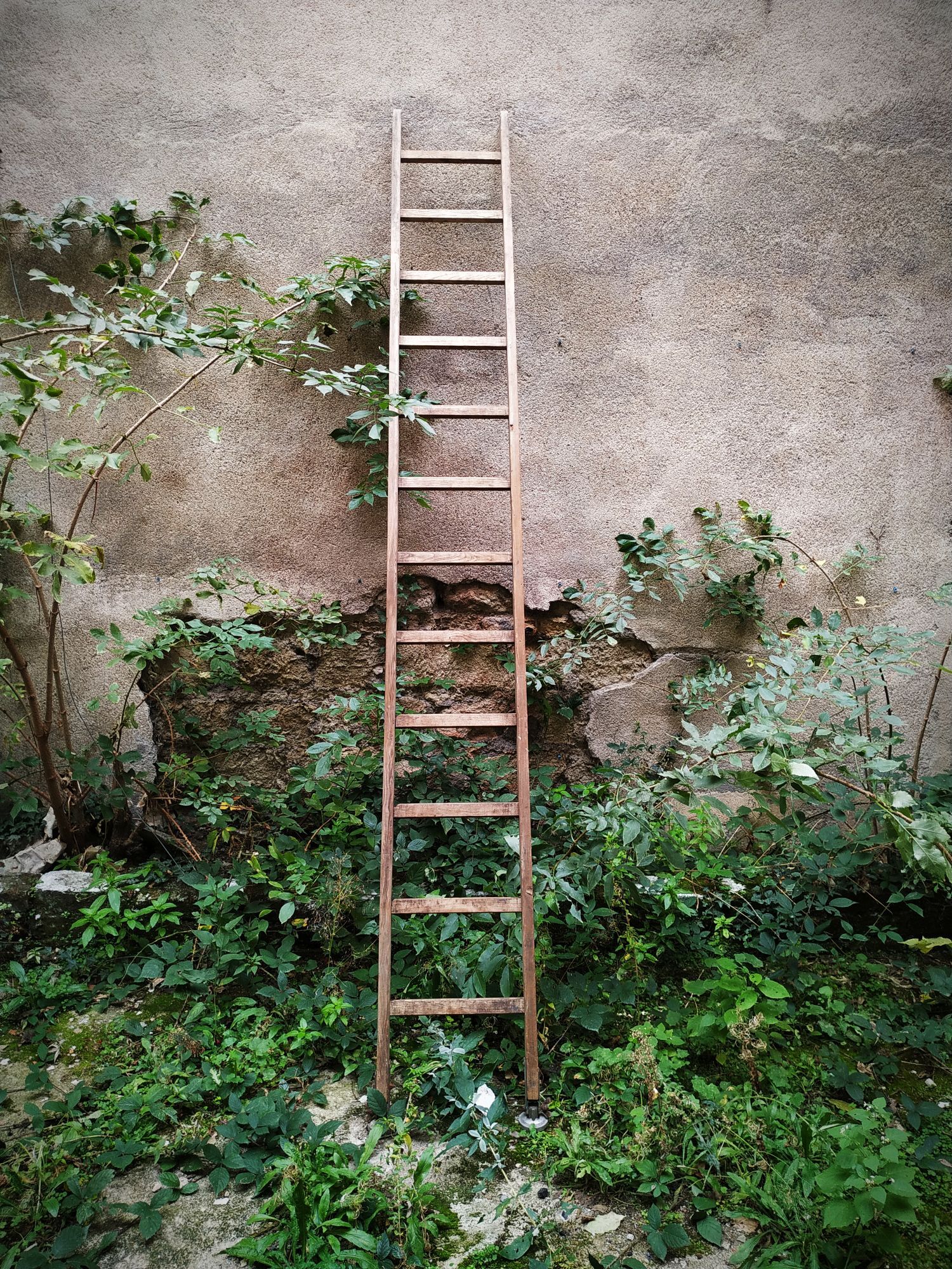 Old Cognet scale 321 cm