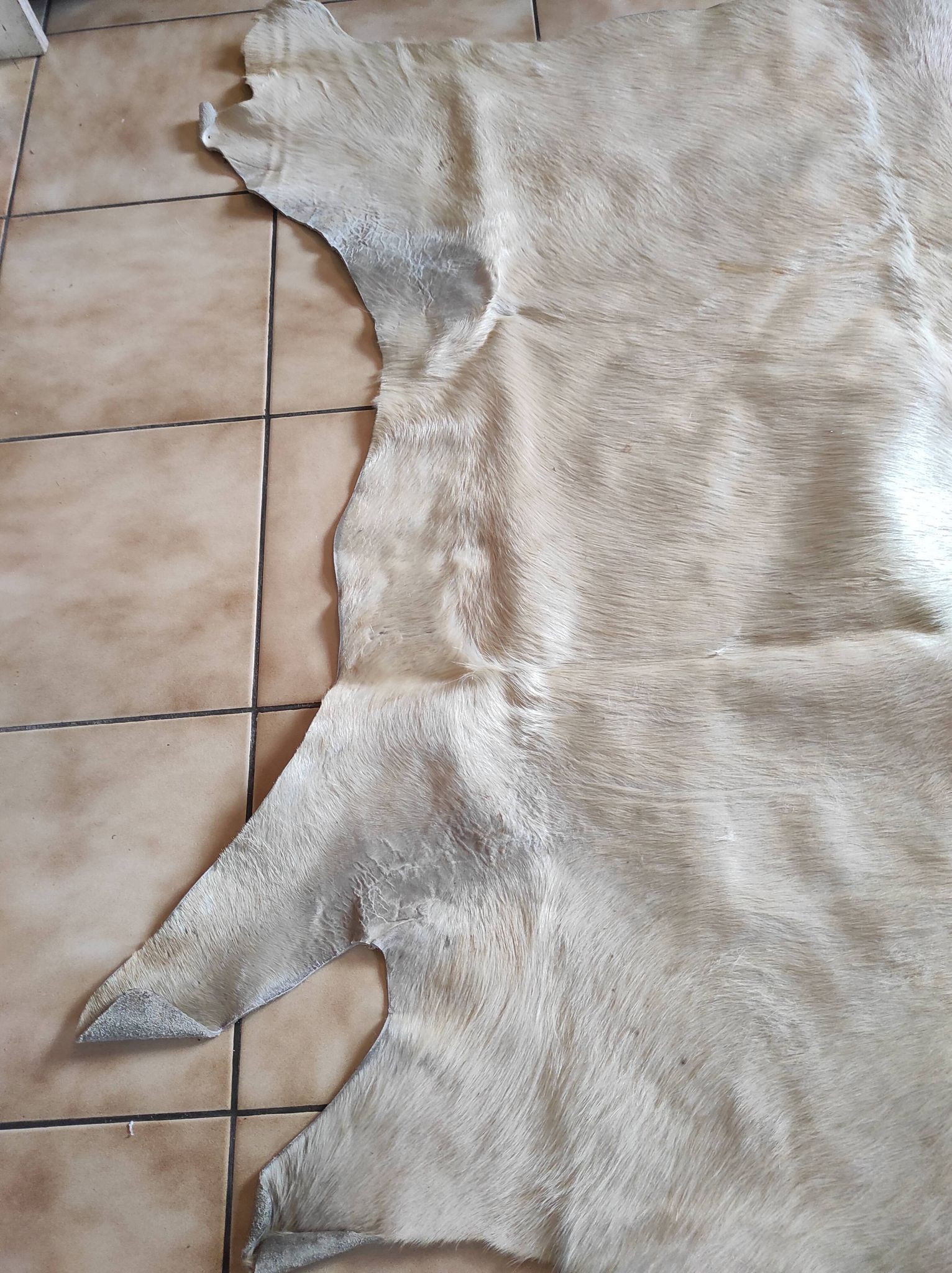 Carpet descent of vintage bed in cowhide 164x176 cm with white hair