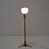 Mid-century floor lamp uluv,1950