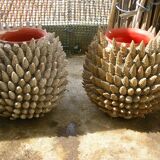 Seashell vases